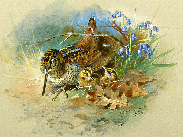 Изображение Картина Арчибальда Торбурна