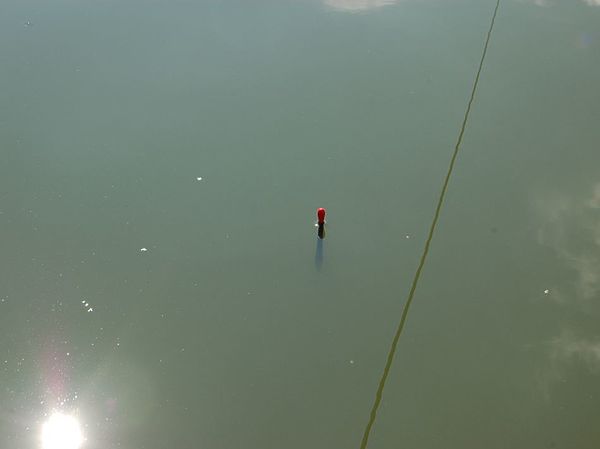 Изображение Фото: Андрей Яншевский.