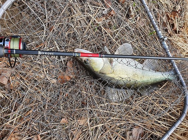 Изображение Новое оружие в виде Norstream Bifrost 762LML. Фото: Коломийца Алексея.