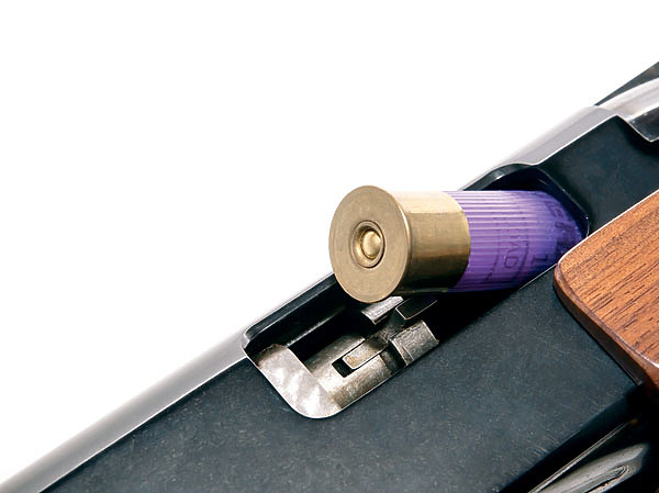 Изображение ФОТО: SHUTTERSTOCK