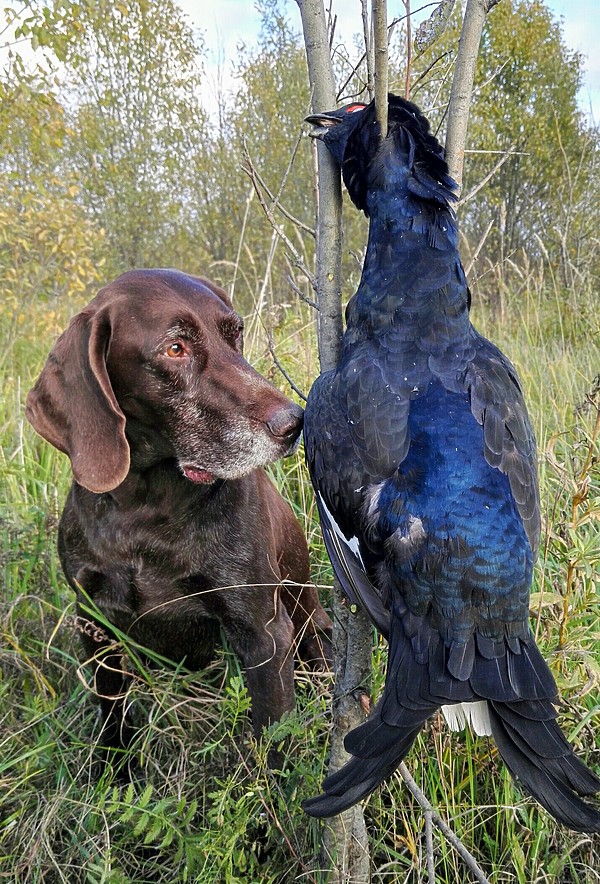 Изображение фото: Геннадия Гальперина