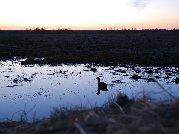 Изображение фото: Олега Хайдакина 