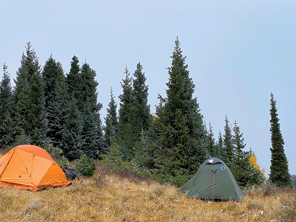 Изображение Дорога на родину маралов, в южную часть Джунгарского Алатау, занимает немало времени. Проехав целый день, лишь за полночь останавливаемся на отдых и после четырех часов сна оказываемся на центральном кордоне. Фото автора. 