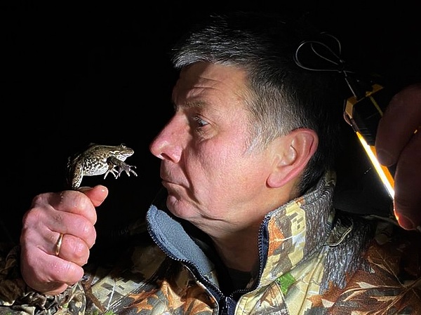Изображение Лягушки здесь не впадают в спячку и квакают в хорошую погоду весь день, а зимой питаются мелкой рыбой. Фото: Евгений Кузнецов.