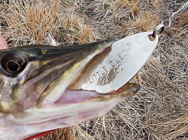 Изображение Старое доброе колебло. Фото: Коломийца Алексея.