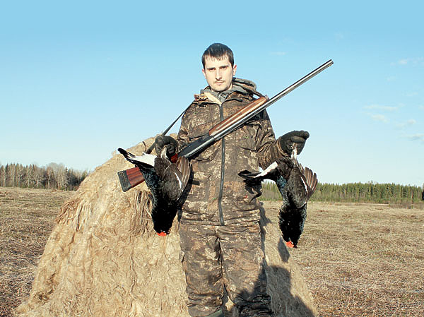 Изображение Забрать добытые трофеи можно только тогда, когда тетерева покинут ток. ФОТО ДМИТРИЯ ВАСИЛЬЕВА