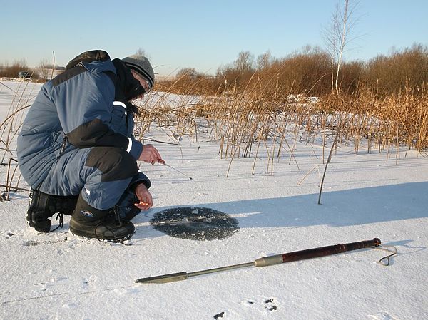 Изображение Фото: Яншевского Андрея.