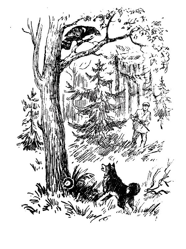 Изображение ИЛЛЮСТРАЦИЯ ИЗ АРХИВА ПАВЛА ГУСЕВА