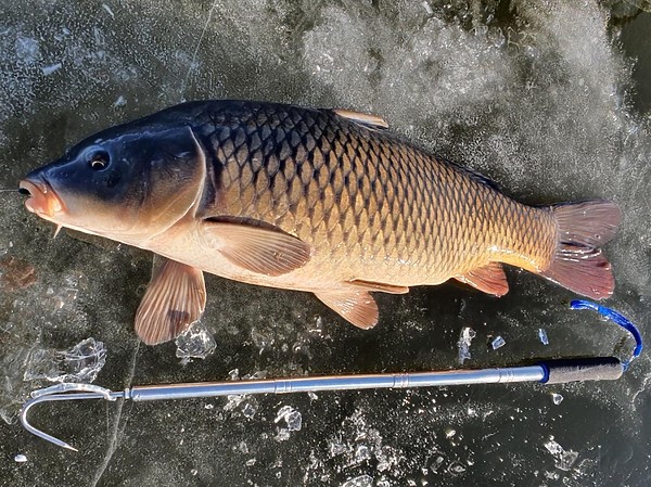 Изображение Фото: Алексей Коломиец. 