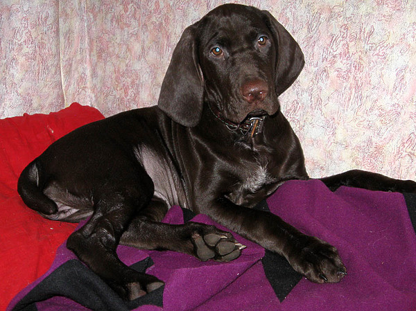 Изображение фото: Семина Михаила 