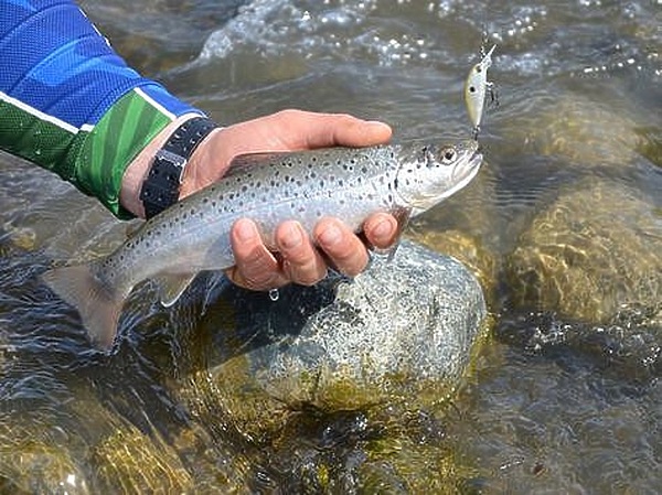 Изображение Фото: Шеляга Геннадия. 