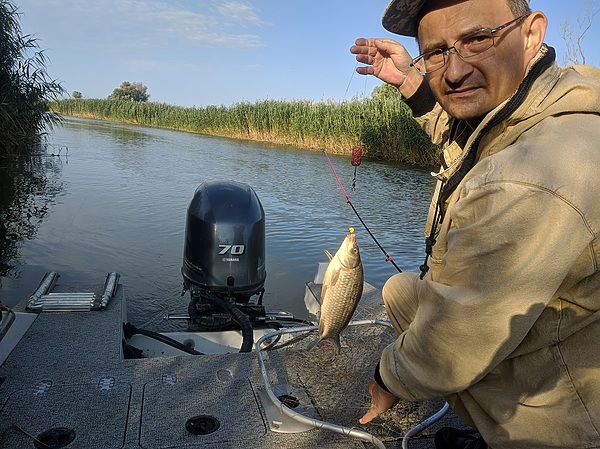 Изображение Не самый большой карасик. Фото: Трембицкого Алексея.