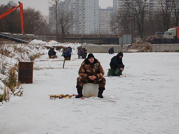 Изображение Городская рыбалка. Фото: Андрей Яншевский.
