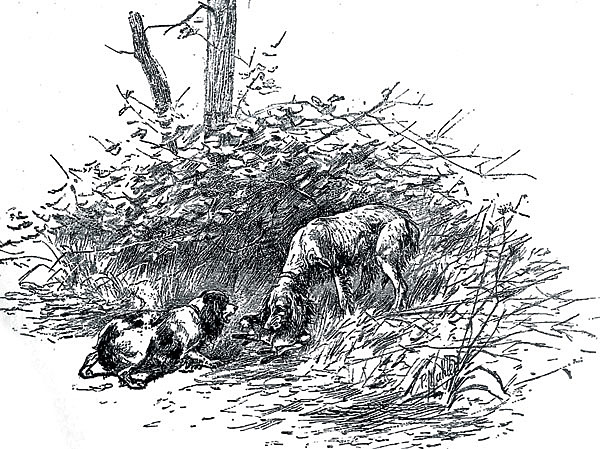 Изображение ИЛЛЮСТРАЦИЯ ИЗ АРХИВА ПАВЛА ГУСЕВА