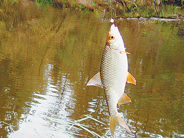 Изображение Фото: Александр Токарев. 