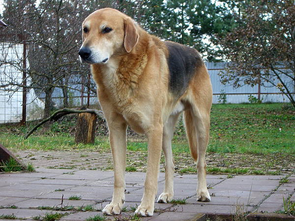 Изображение фото: Валентина Бодункова