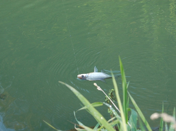 Изображение Фото: Андрей Яншевский. 