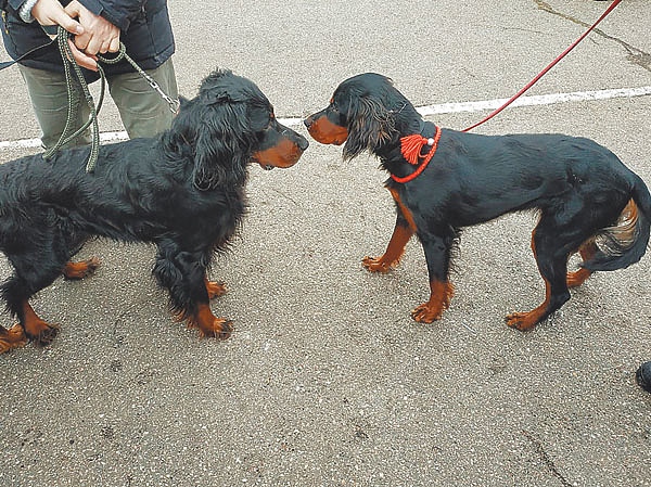 Изображение Фото Татьяны ФОКИНОЙ