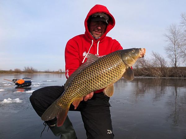 Изображение Фото: Алексей Коломиец. 