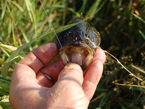 Изображение Фото: Яншевского Андрея. 
