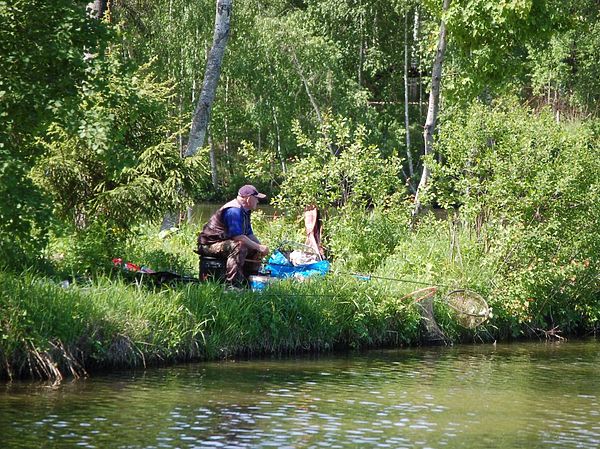 Изображение Фото: Андрея Яншевского. 