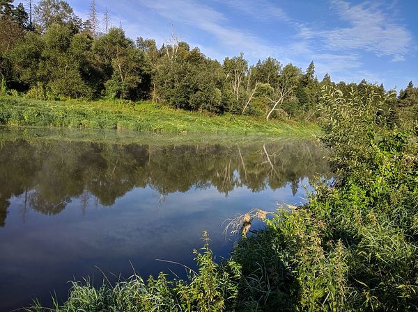 Изображение Фото: Алексей Трембицкий.