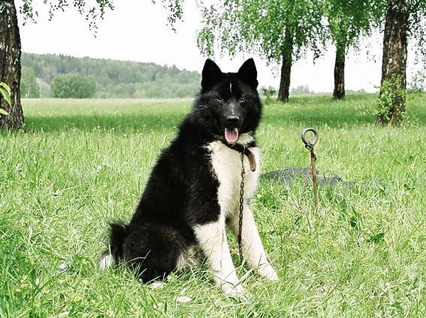 Изображение фотографии предоставлены автором