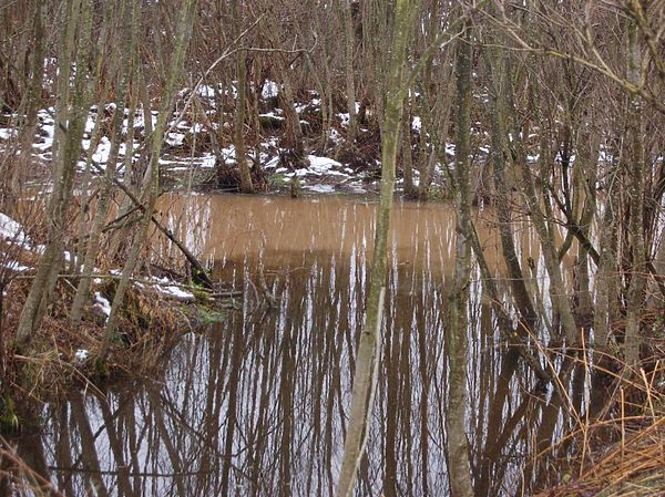Изображение Граница мутной воды заслуживает внимания. Фото: Андрей Яншевский. 