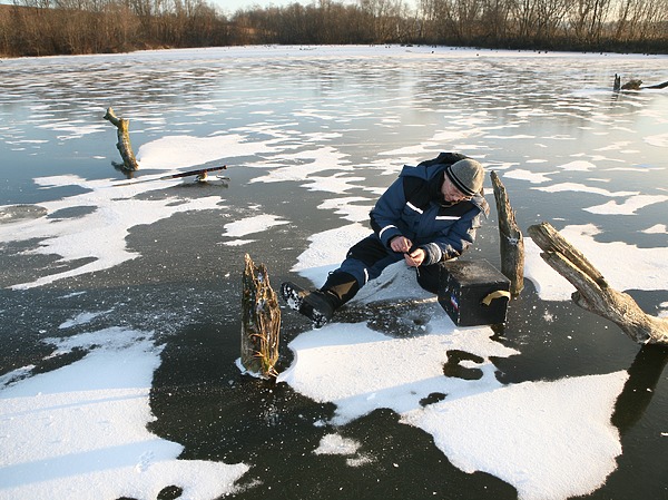 Изображение Фото: Яншевского Андрея.