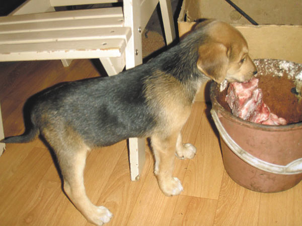 Изображение Фото автора. 