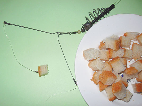 Изображение Фото: Токарева Александра. 