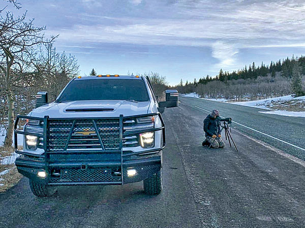 Изображение Высокая плотность животных позволяет увидеть их прямо с дороги.  ФОТО: ДАРРЕН ЭПП, СЕРГЕЙ ЯСТРЖЕМБСКИЙ 