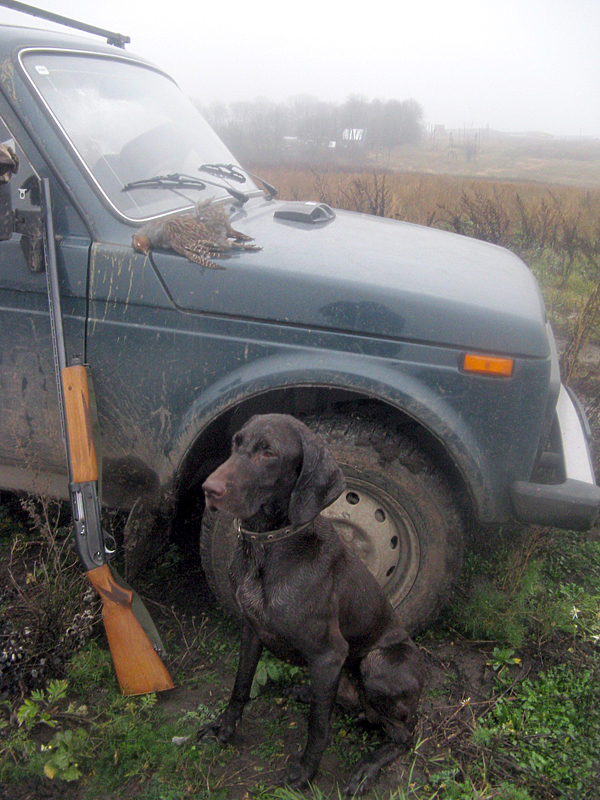 Изображение фото: Семина Михаила