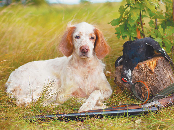 Изображение Фото AdobeStock