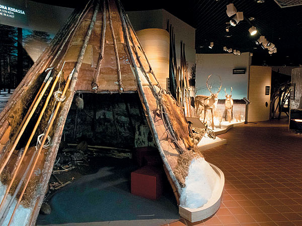 Изображение Тюлень и дикий олень — важнейшие объекты финской охоты на протяжении тысячелетий. ФОТО: ИЛЬЯ КОЙВИСТО, АНТТИ САРАЯ