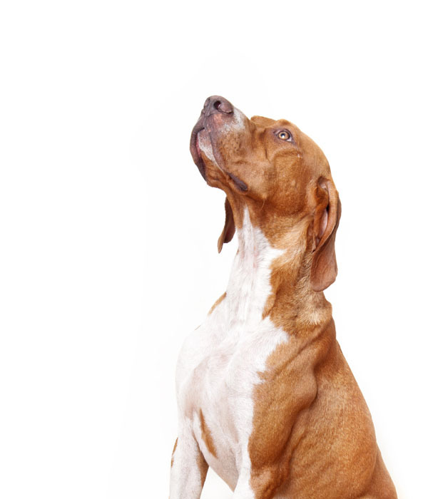 Изображение фото: Fotolia.com