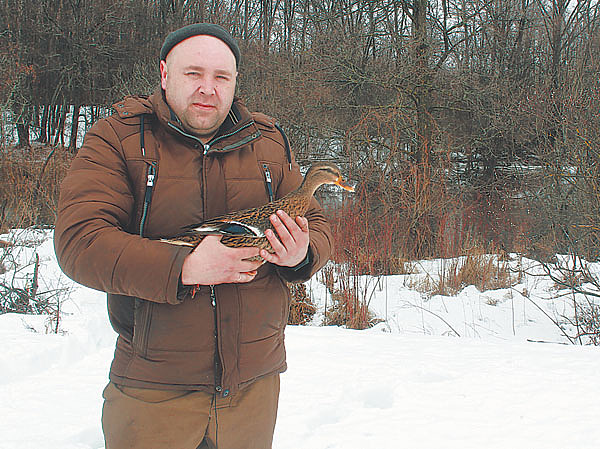 Изображение Фото автора.