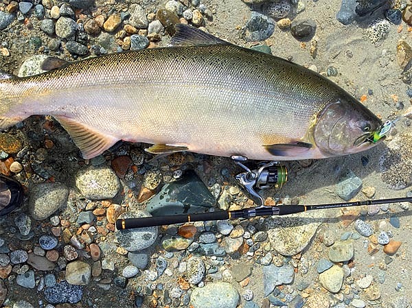 Изображение А у меня такой спиннинг есть, а рыба такая не водится. Фото: Алексей Коломиец.