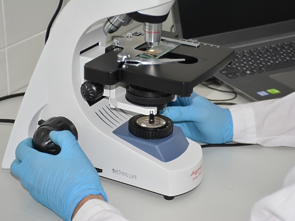 Изображение Фото: ВНИИПРХ.