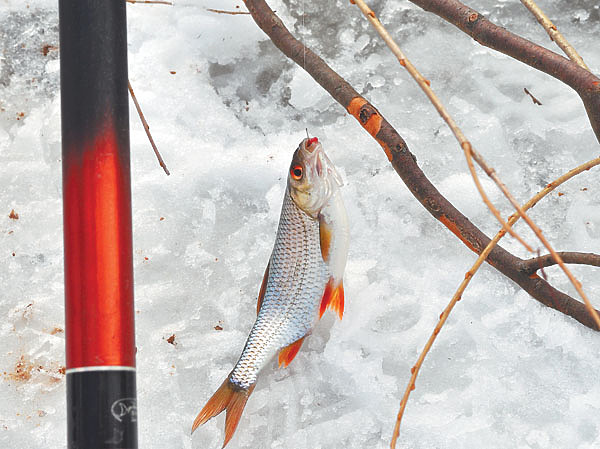 Изображение Фото: Николай Линник. 