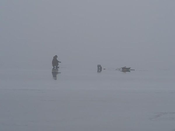 Изображение Фото: Алексей Коломиец. 