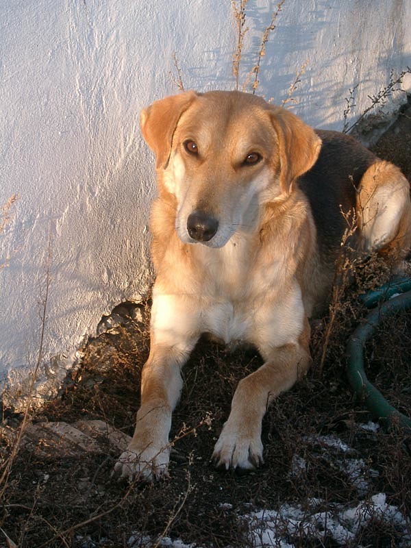 Изображение фото: Семина Михаила