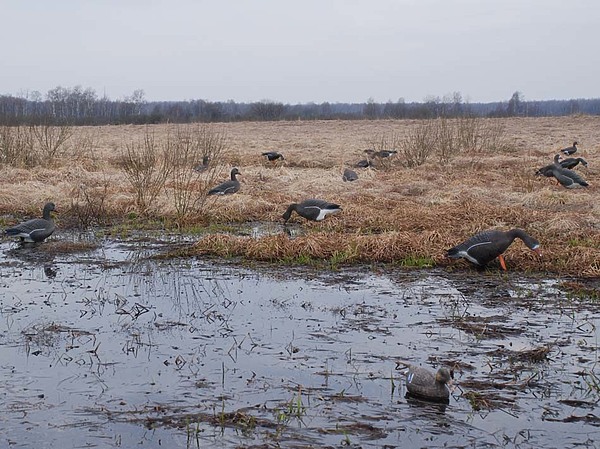 Изображение фото: Семина Михаила 