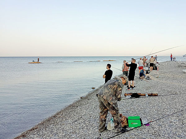 Изображение Фото: Сергей Матвеев. 