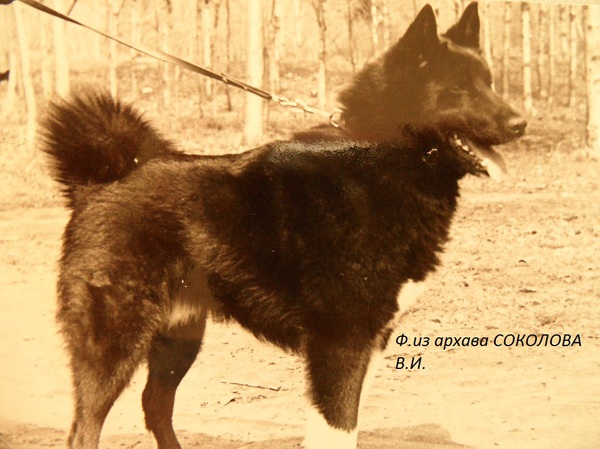 Р верной