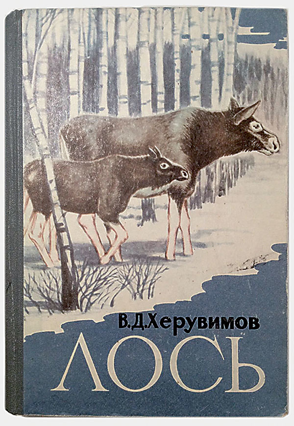 Изображение Я бы рекомендовал начинающим охотникам ознакомиться с трудами ученых советского периода. Так, книга «Лось» под редакцией В.Д. Херувимова включает более 400 страниц интереснейшей информации. Из этой книги можно узнать об особенностях обоняния и слуха нашего лесного исполина, что крайне важно во время проведения загонных охот. Новичок зачастую не умеет даже правильно стоять на стрелковом номере, производит много шума, и лось его обходит стороной.
А из популярной книги «Оленьи» под редакцией А.А. Данилкина охотник почерпнет знания о представителях всего семейства оленьих, что может пригодиться при охоте на благородного, пятнистого, северного оленя, сибирскую и европейскую косулю. 
