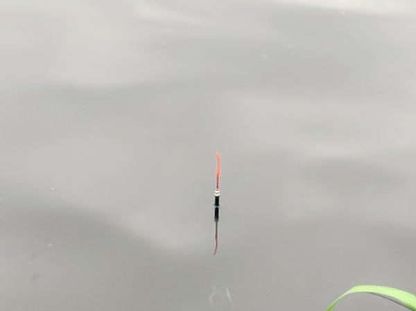 Изображение Горделиво стоит поплавок. Фото: Трембицкого Алексея. 