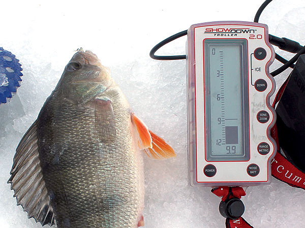 Изображение Эхолот помогает найти горизонт, на котором в данный момент стоит рыба. Фото: Сергей Смирнов.