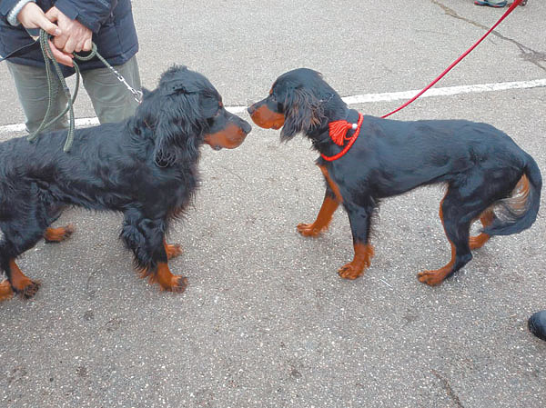 Изображение Фото ТатьяныФокиной.