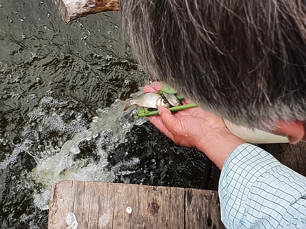 Изображение Фото: Геннадий Шеляг.